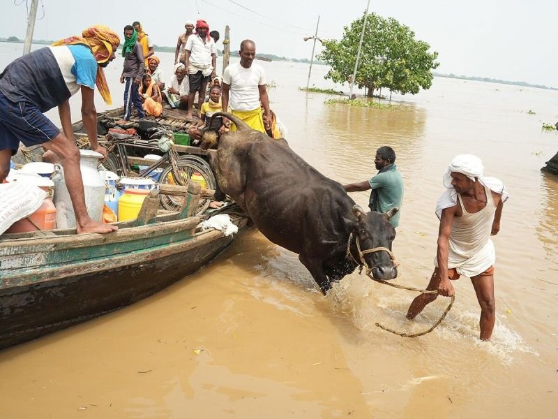 Flood-photo-2